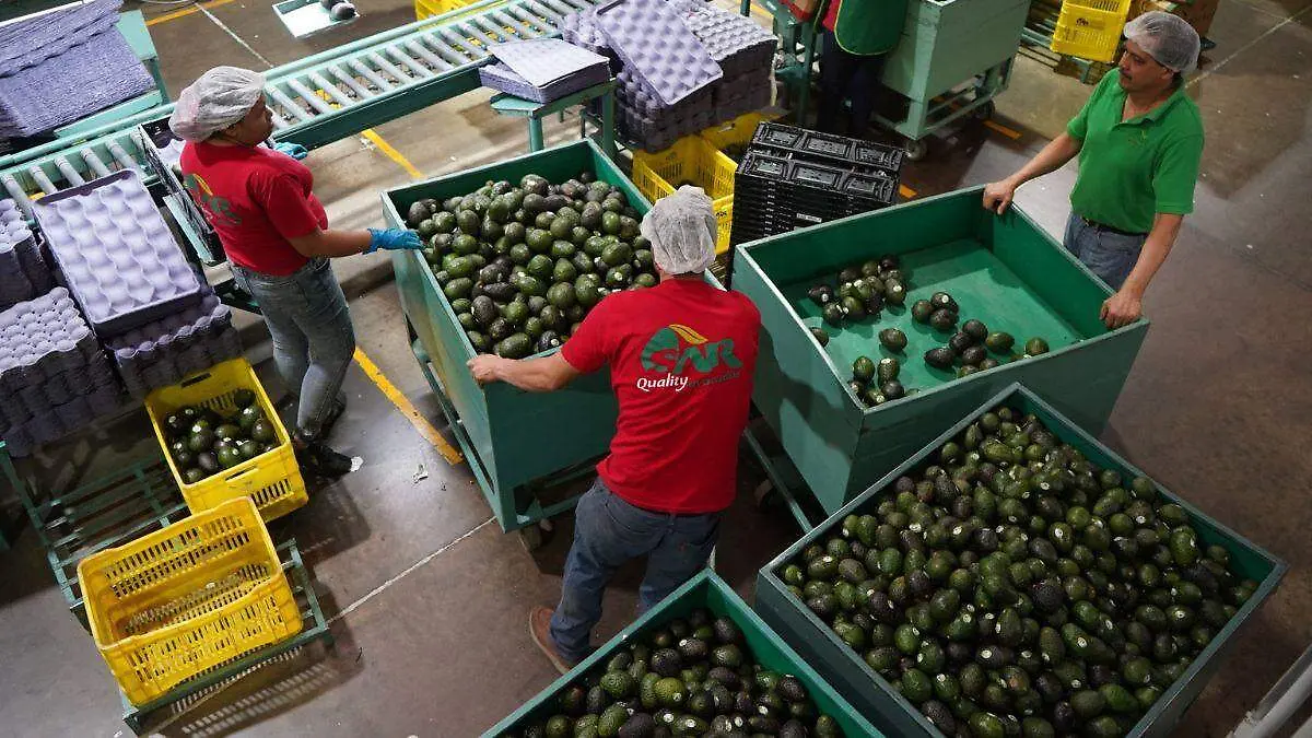 EU publica orden de aranceles contra México